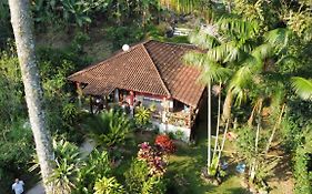 Casa Araribá - Ilha Grande - Vila do Abraão